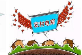 農(nóng)村電商平臺(tái)開(kāi)發(fā)