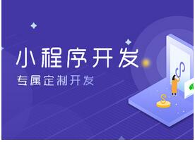 定制化小程序開發(fā)