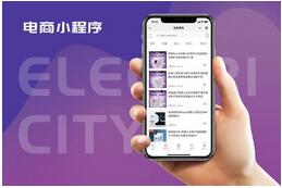 電商小程序開發(fā)